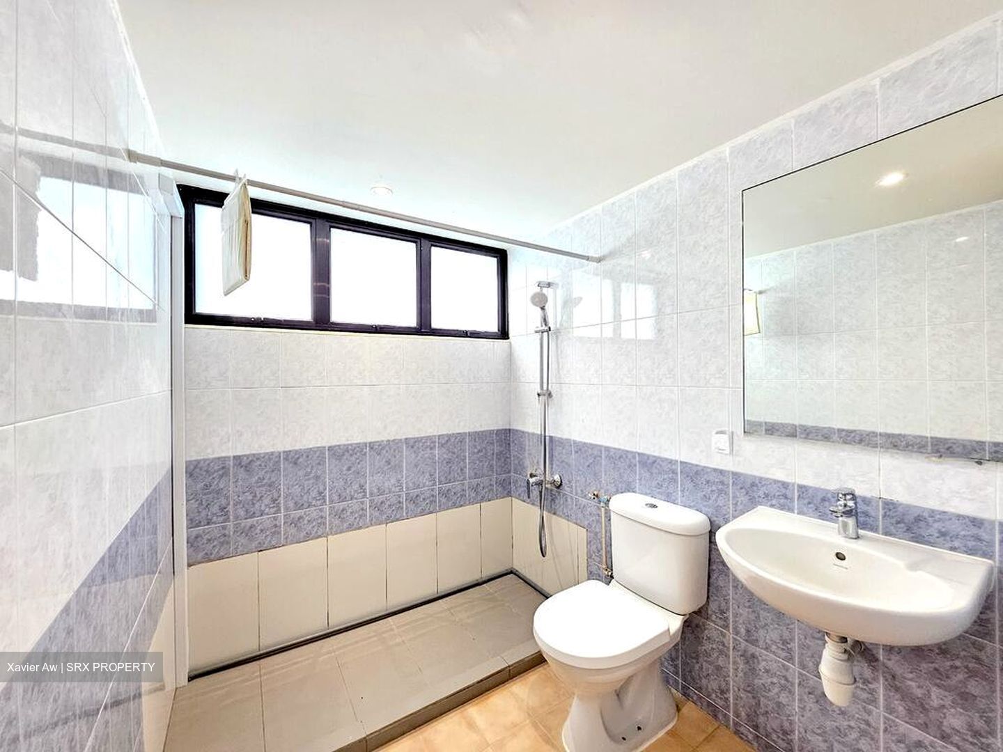 Dunearn Road (D11), Condominium #502336891